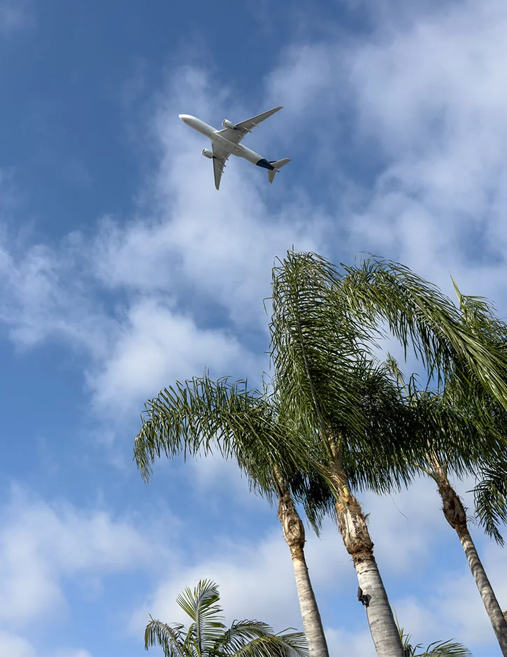 A low-angle shot of a white commercial airplane flying through a bright blue sky with scattered white clouds, framed by the tops of several tall palm trees.